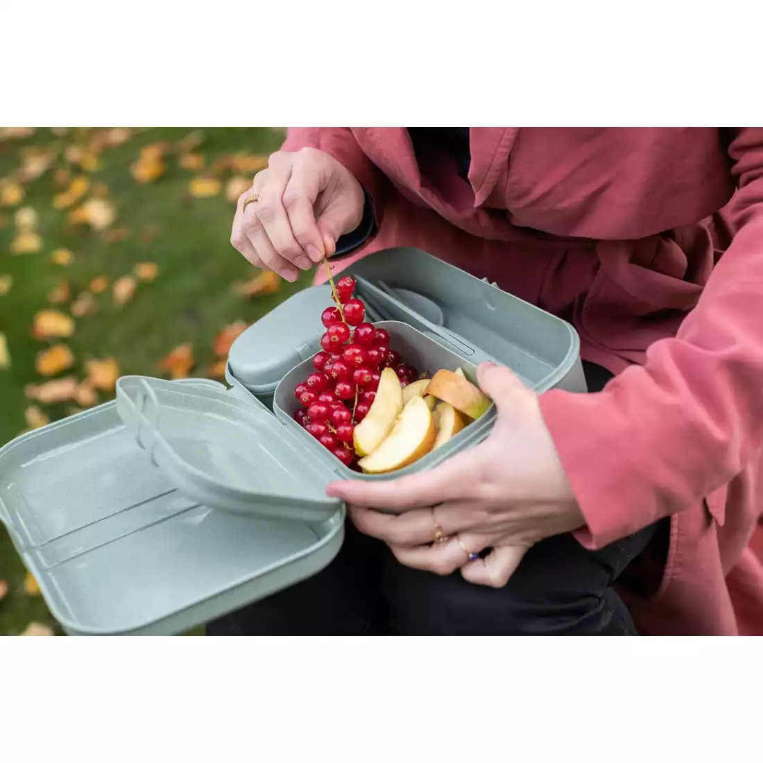 Koziol Pascal ready organic zestaw lunchboxów + sztućce, zielony