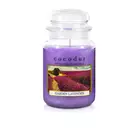 COCODOR świeca zapachowa garden lavender 550 g